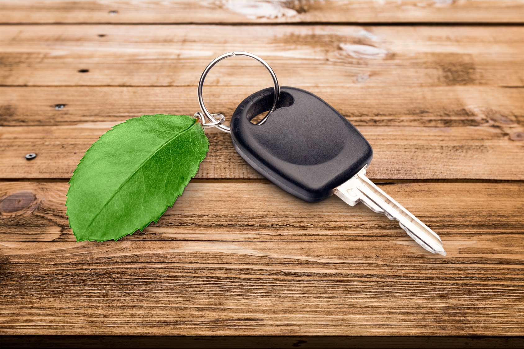 car key with leaf